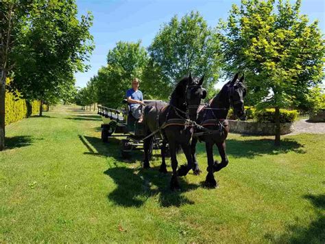 Kincsem Lovaspark Rendezvényközpont